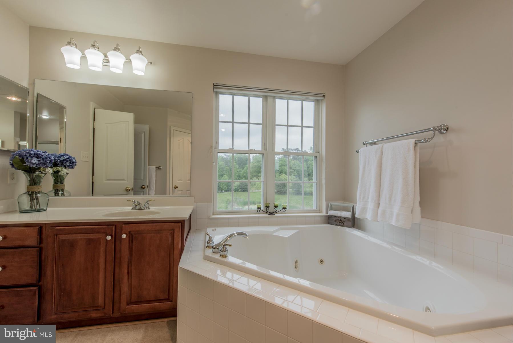 6013 Sandy Ridge Elkridge, MD 21075 - Photo 19 of 30 a bathroom with a tub sink and mirror