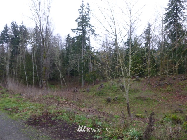 123 Draper Valley Road Port Angeles, WA 98362 - Photo 16 of 19 Gallery Image 16
