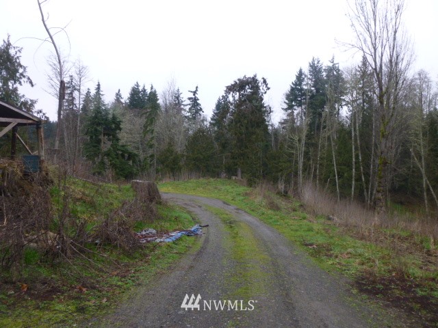 123 Draper Valley Road Port Angeles, WA 98362 - Photo 17 of 19 Gallery Image 17