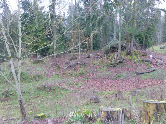 123 Draper Valley Road Port Angeles, WA 98362 - Photo 18 of 19 Gallery Image 18
