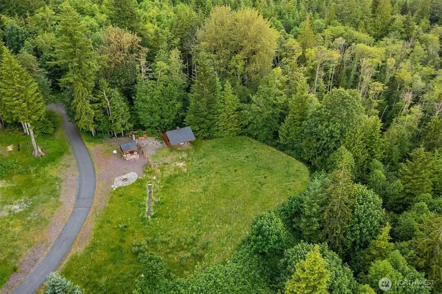 a view of a forest with a street