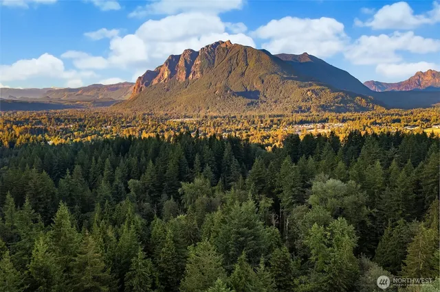 a view of a big yard with a house in the background