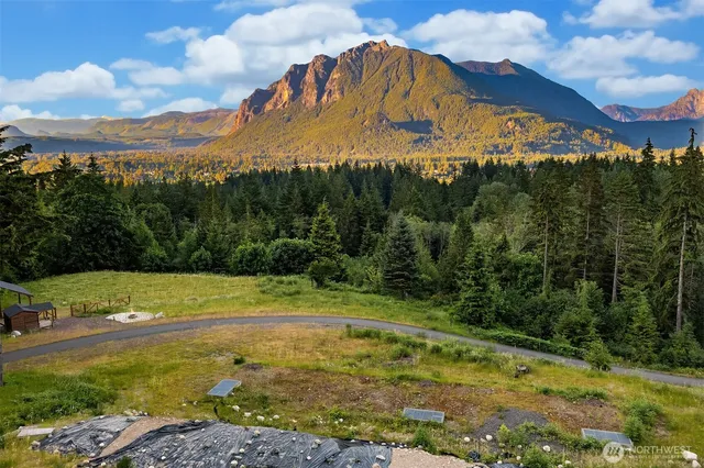 a view of a lush green outdoor space with a swimming pool and valleys in the background