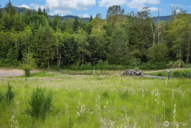 a view of a lake with a yard