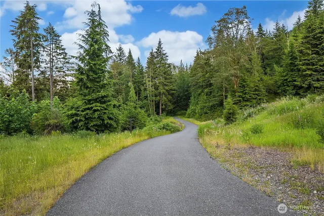 a view of a yard with a lake view