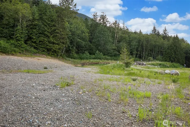 a view of outdoor space with trees all around