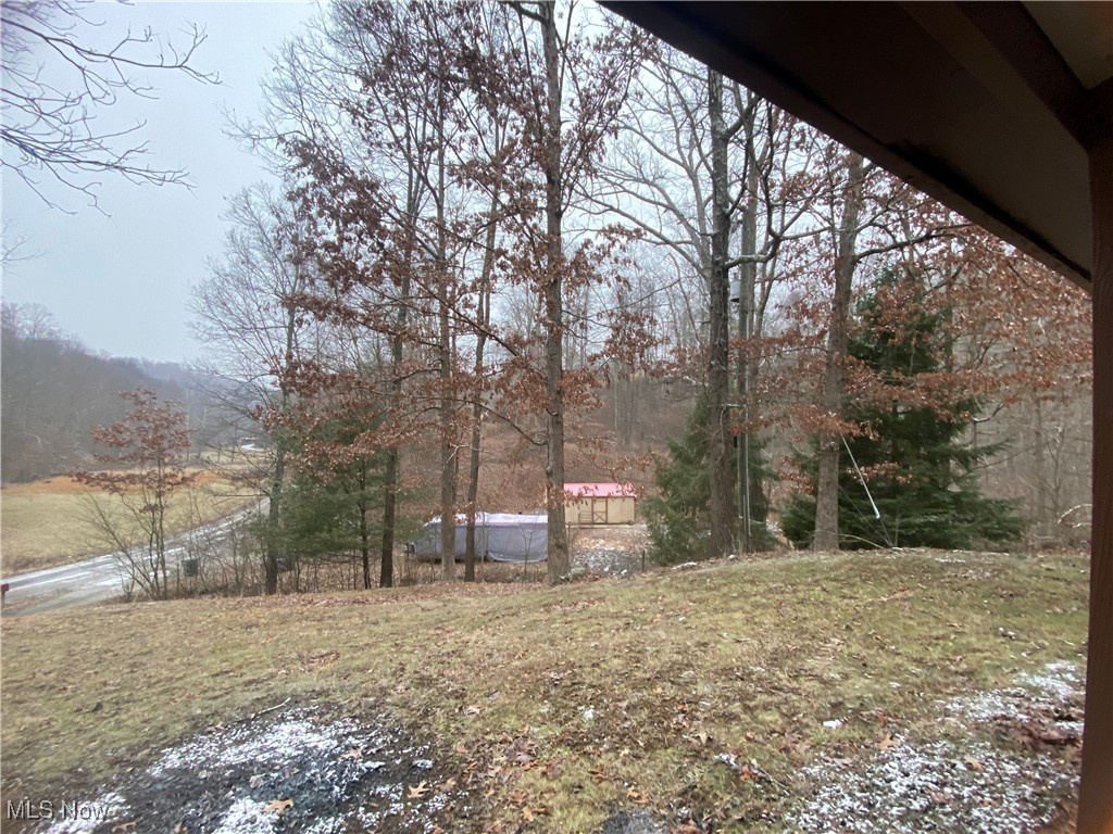 33661 Dog Hollow Road Barnesville, OH 43713 - Photo 35 of 40 Gallery Image 35