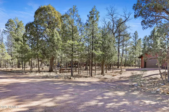 $599,500 | 2908 Apache Drive, Happy Jack, AZ 86024