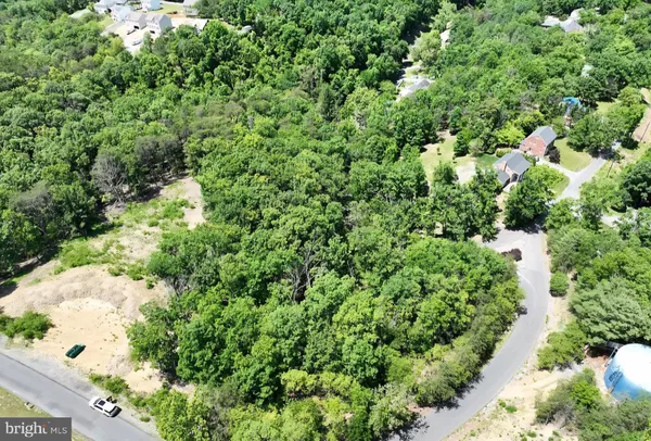 a view of a house with a tree plants and large tree