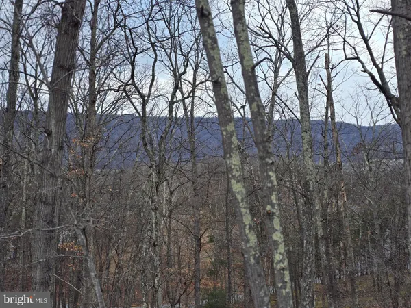 a view of a yard with trees