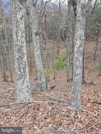 a view of a backyard of the area