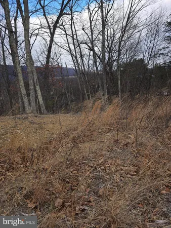 a view of a yard covered with snow in the background