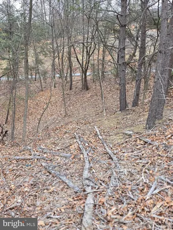 an aerial view of a houses with yard