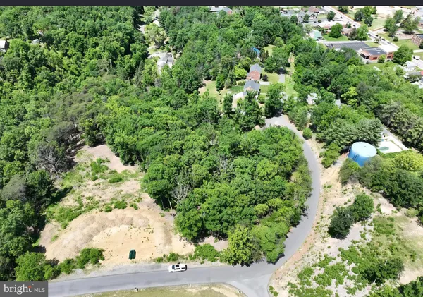 a view of a garden with plants