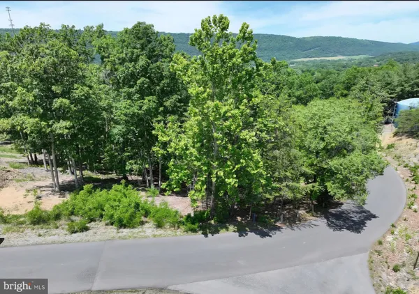 a view of a garden with a tree