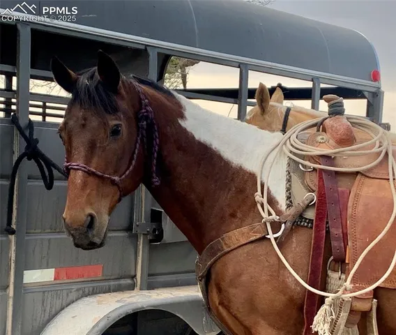 $145,000 | 20966 Silverado Hl Loop, Colorado Springs, CO 80928