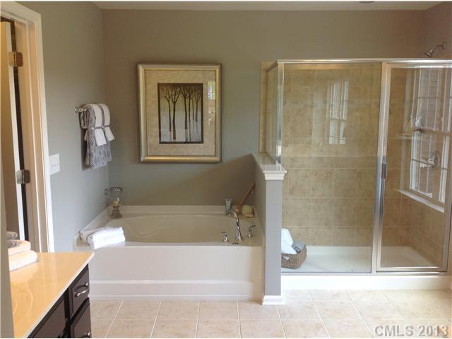 8908 Happiness Road, Unit 167 Harrisburg, NC 28075 - Photo 11 of 16 Gallery Image 11