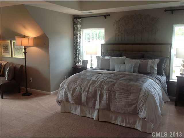 8908 Happiness Road, Unit 167 Harrisburg, NC 28075 - Photo 8 of 16 Gallery Image 8