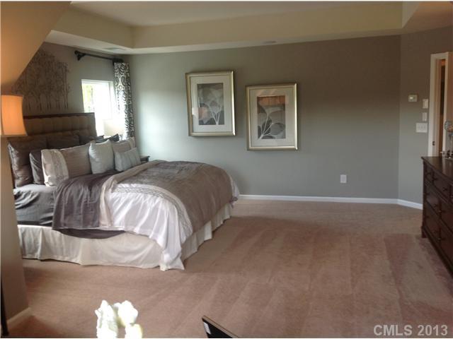 8908 Happiness Road, Unit 167 Harrisburg, NC 28075 - Photo 10 of 16 Gallery Image 10