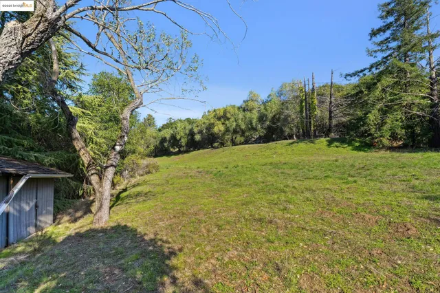 a view of a backyard