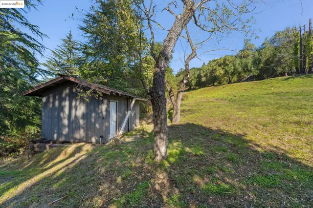 a view of backyard with wooden fence and large trees