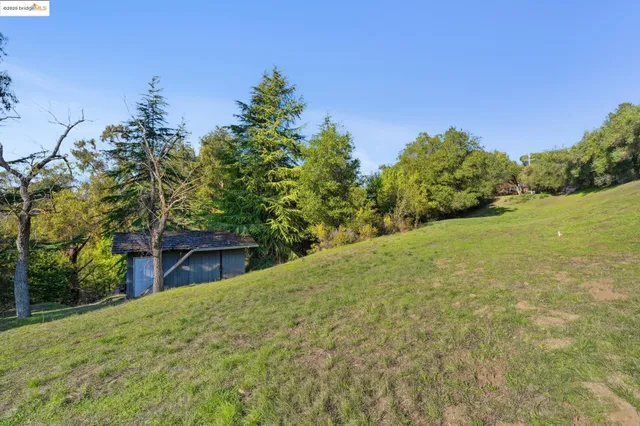 a view of a yard with a tree