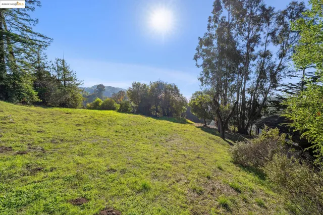 a view of outdoor space and yard