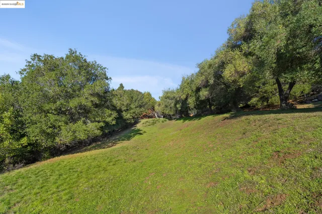 a view of a lake with a yard