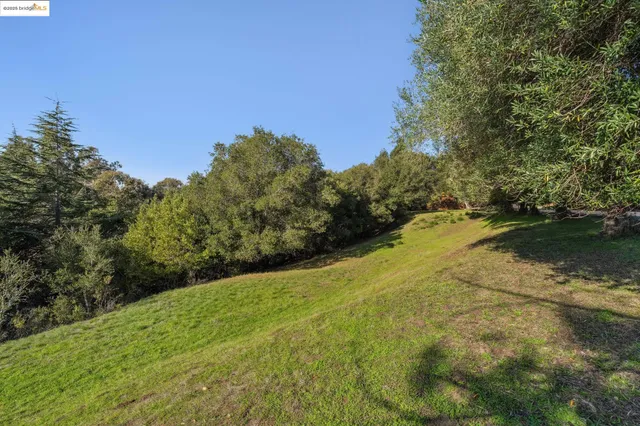 a view of backyard with green space