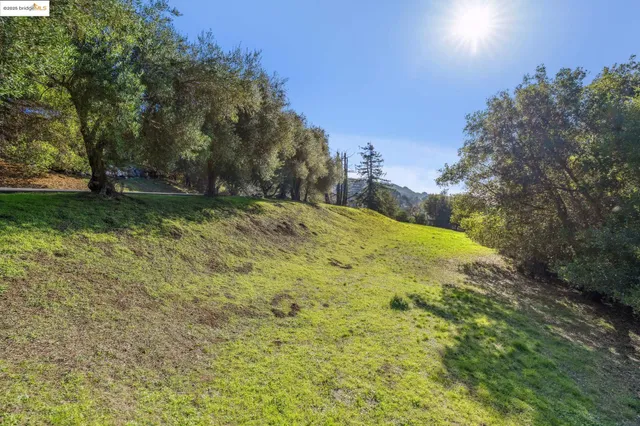 a view of yard with swimming pool and trees