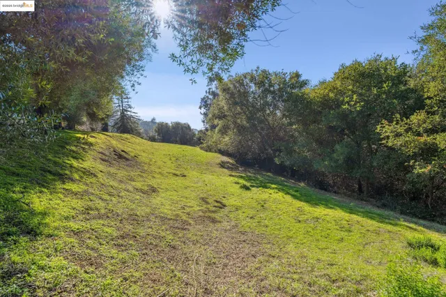 a view of a garden with an empty space