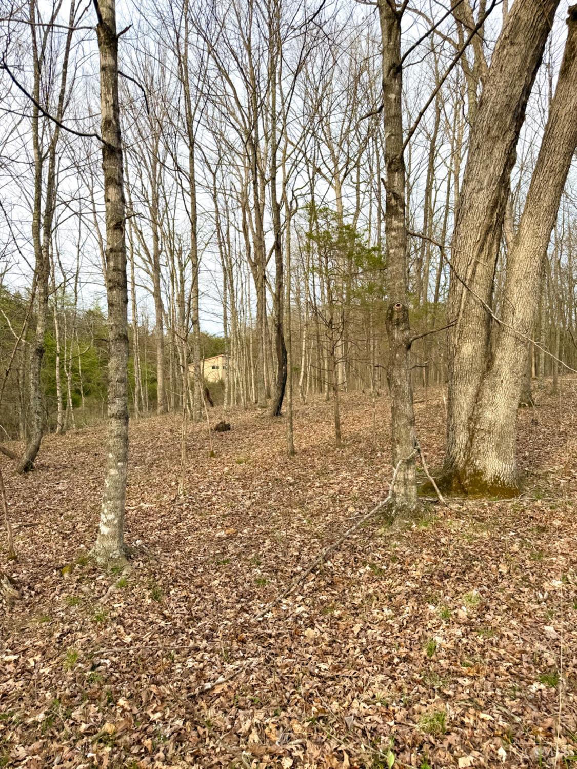 1600 Magee Jones Road Peebles, OH 45660 - Photo 89 of 91