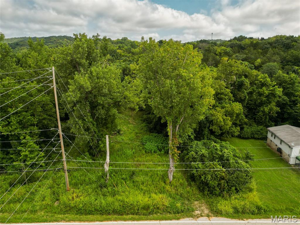 1675 Old State Rd M Barnhart, MO 63012 - Photo 3 of 7