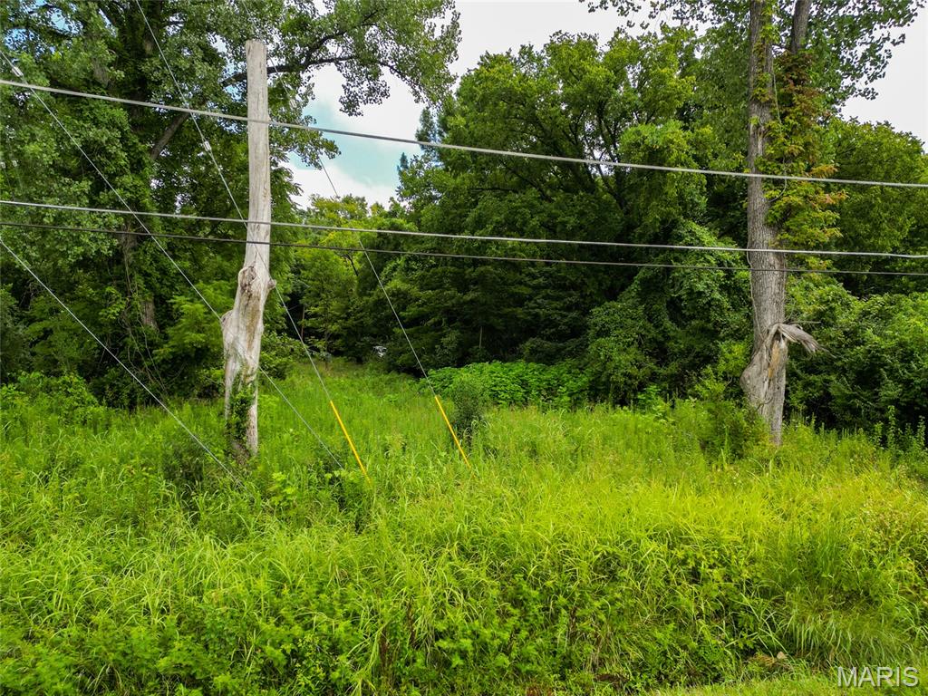 1675 Old State Rd M Barnhart, MO 63012 - Photo 7 of 7