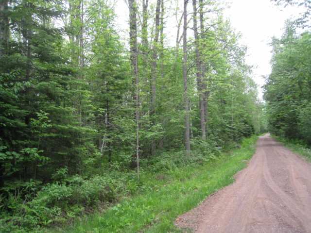 3603 Campaign Road Brimson, MN 55602 - Photo 1 of 6 Gallery Image 1