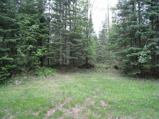 3603 Campaign Road Brimson, MN 55602 - Photo 2 of 6 Gallery Image 2