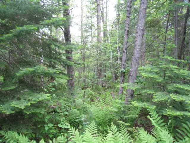 3603 Campaign Road Brimson, MN 55602 - Photo 3 of 6 Gallery Image 3