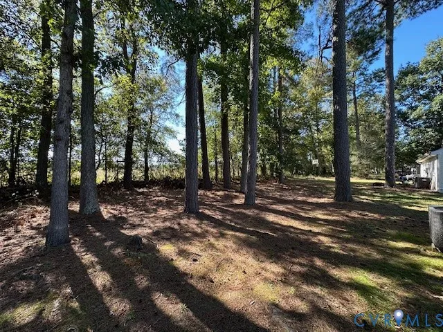 a view of a forest with trees