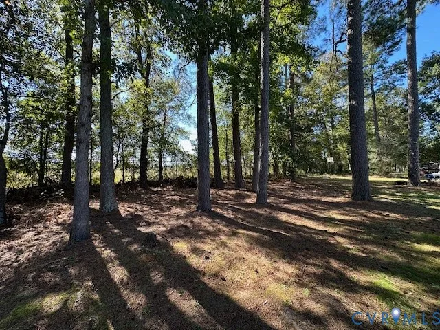 a view of a yard with large tree and wooden fence