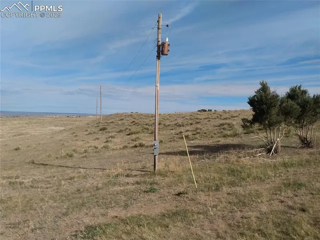 a view of a dry yard