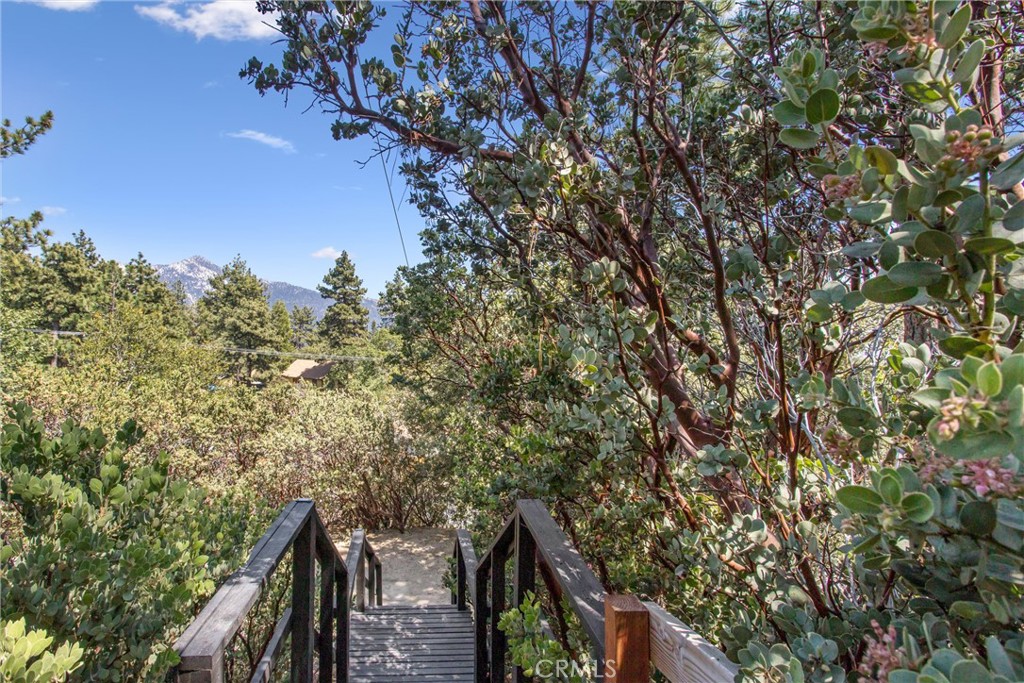 24875 Marion Ridge Drive Idyllwild, CA 92549 - Photo 41 of 48