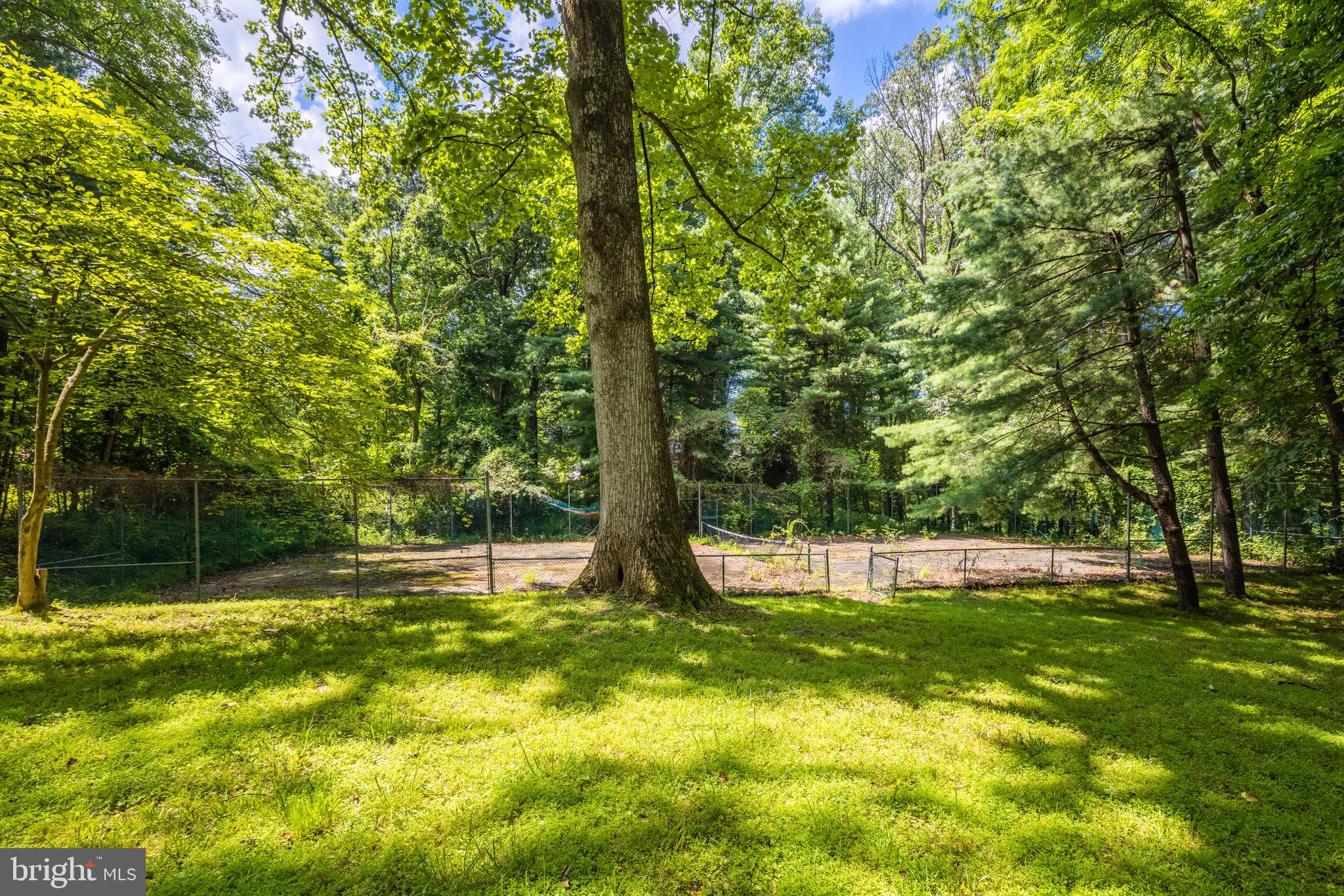 7327 Georgetown Pike McLean, VA 22102 - Photo 4 of 9