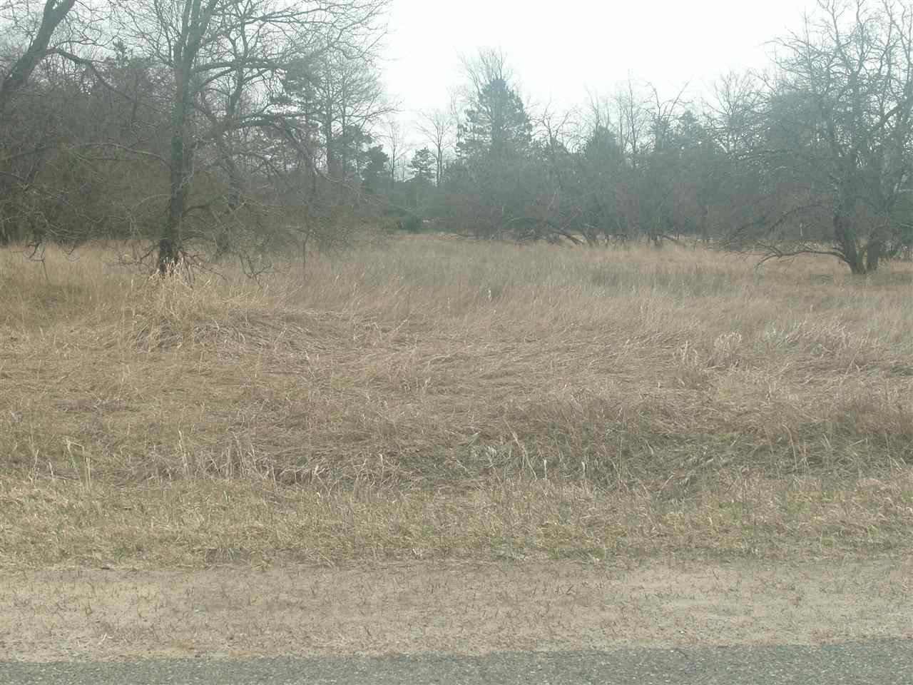77 Ac M/l Erdman Road Manistee, MI 49660 - Photo 6 of 8 1797326-5.JPG