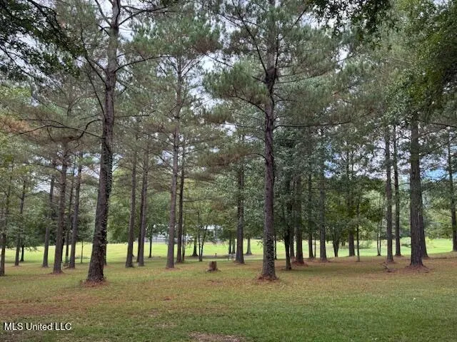 $240,000 | 1014 Diane Circle, Summit, MS 39666