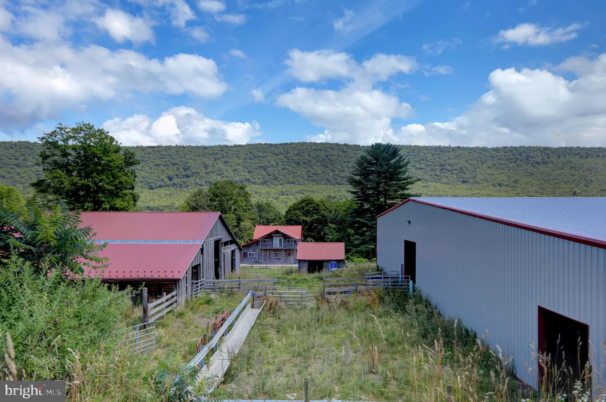 4565 Horse Valley Road East Waterford, PA 17021 - Photo 16 of 111