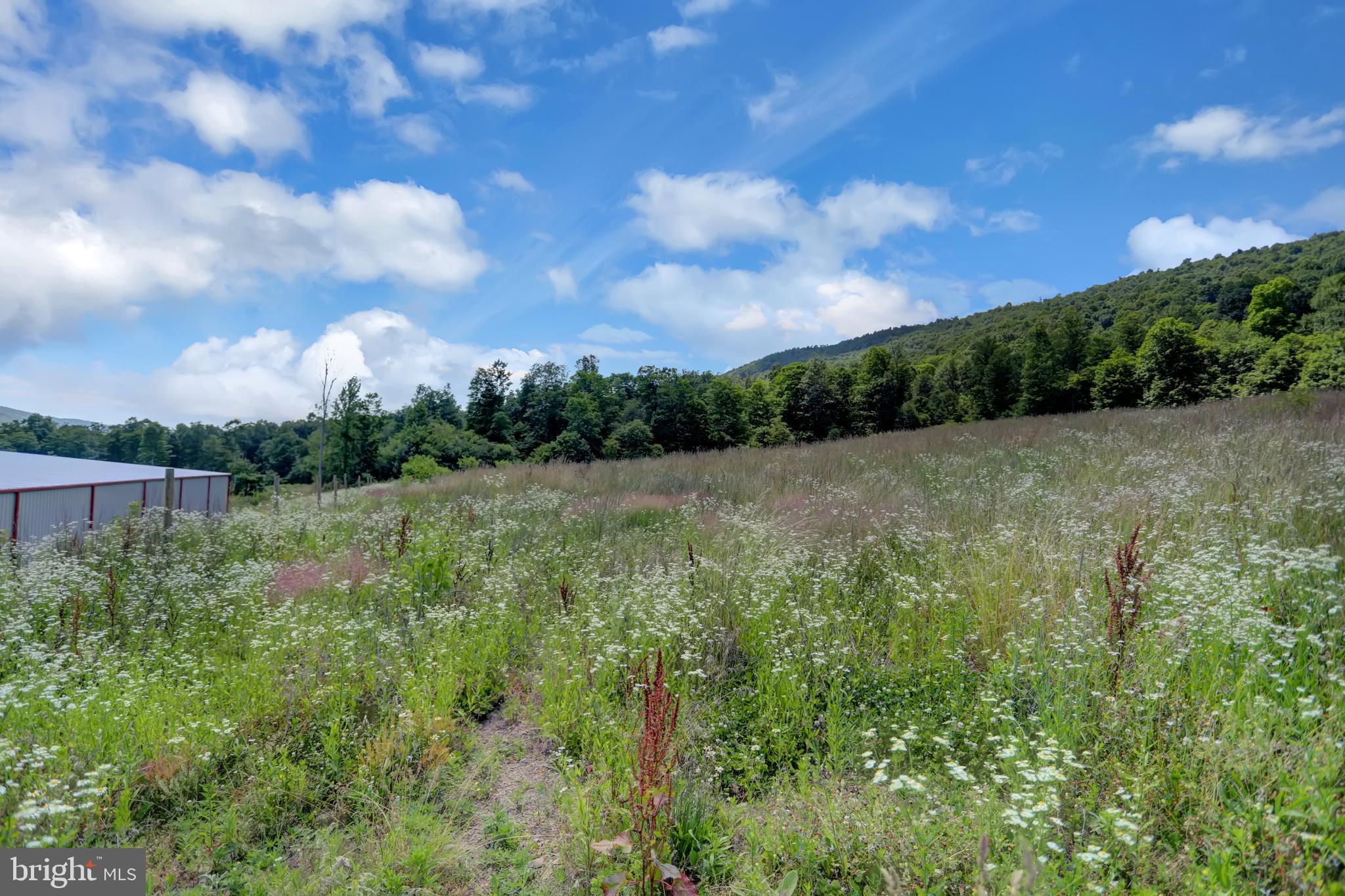 4565 Horse Valley Road East Waterford, PA 17021 - Photo 17 of 111
