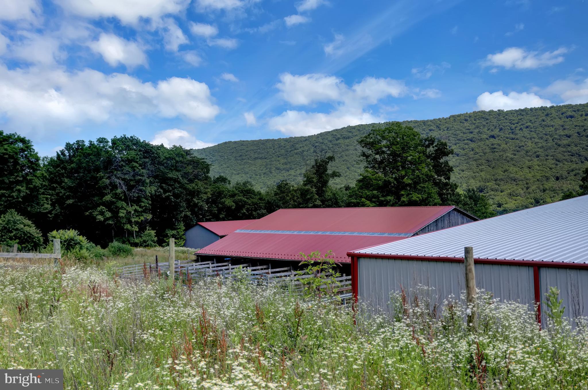 4565 Horse Valley Road East Waterford, PA 17021 - Photo 18 of 111