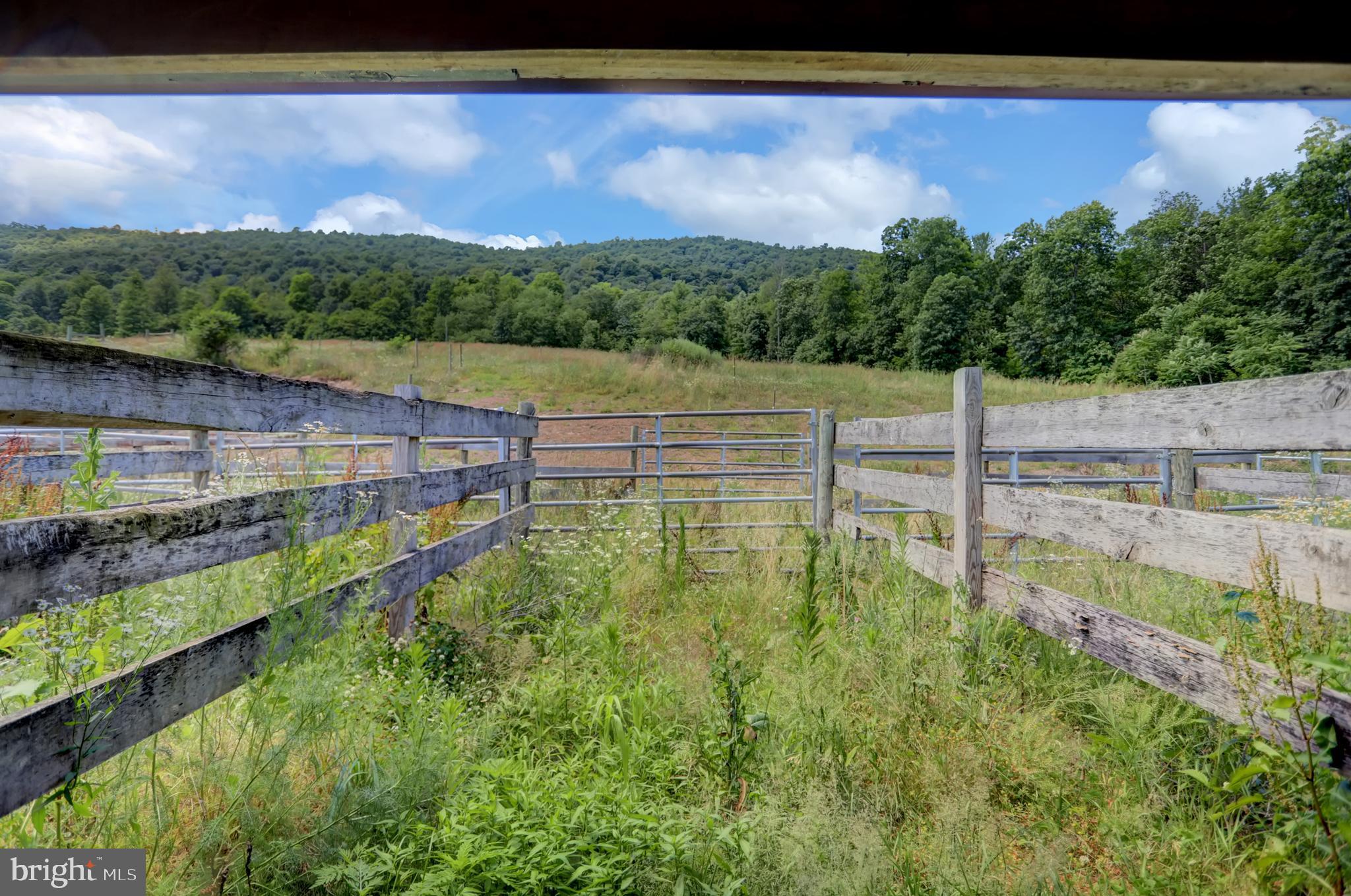 4565 Horse Valley Road East Waterford, PA 17021 - Photo 29 of 111