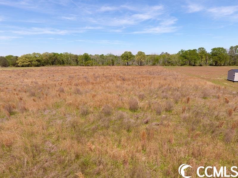 9 Lee Road Gibson, NC 28343 - Photo 2 of 2