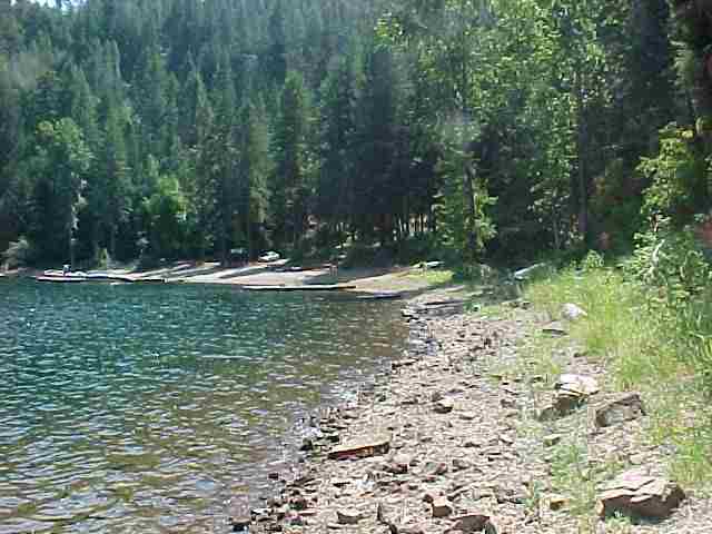 N/a Pine Bay Road Loon Lake, WA 99148 - Photo 3 of 6 Gallery Image 3